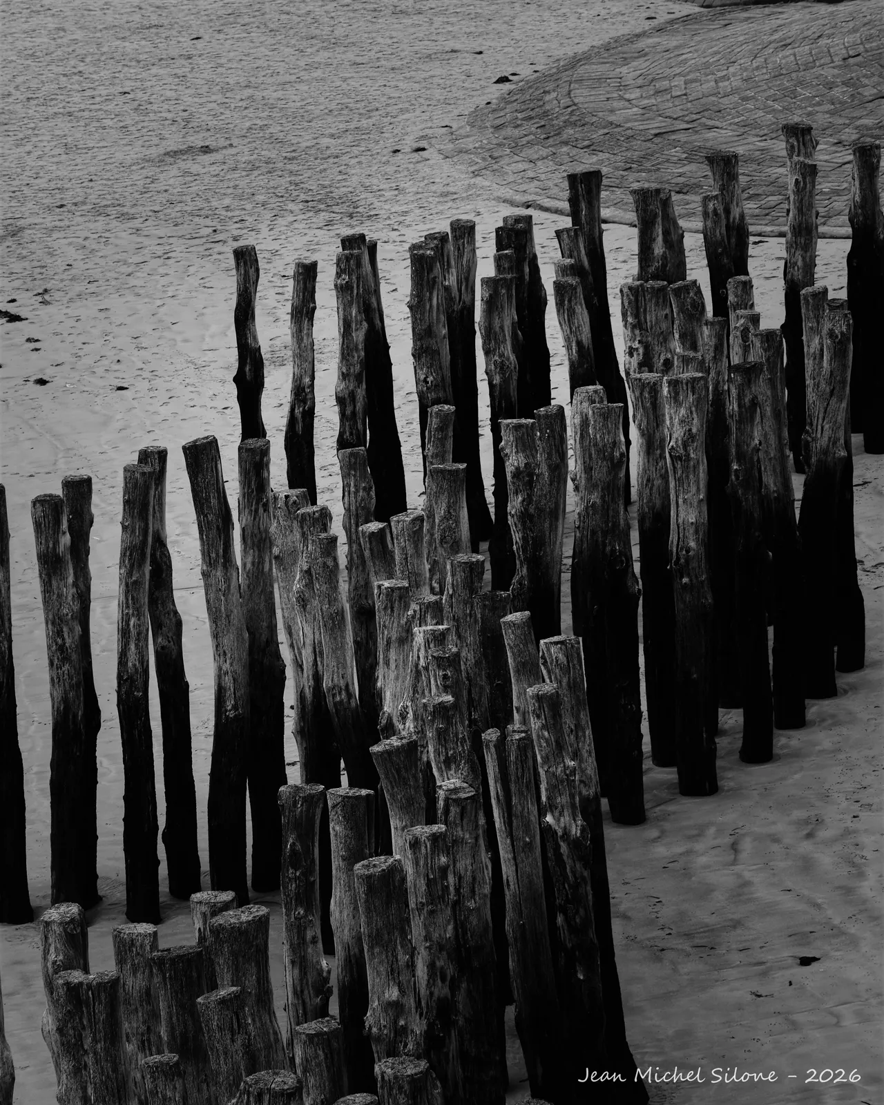 plage, brise-lames, noir et blanc