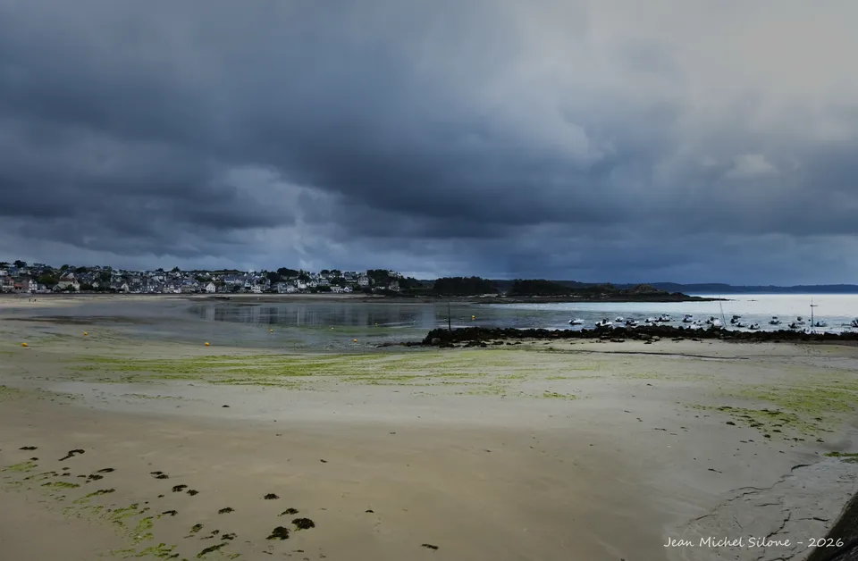 Wide beach at low tide covered in green seaweed, a town on the bay under a heavy stormy sky.